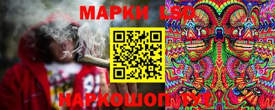 молекула духа Краснознаменск