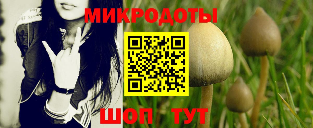 Псилоцибиновые грибы MAGIC MUSHROOMS  Вход с VPN  Чебоксары 